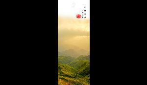 书签